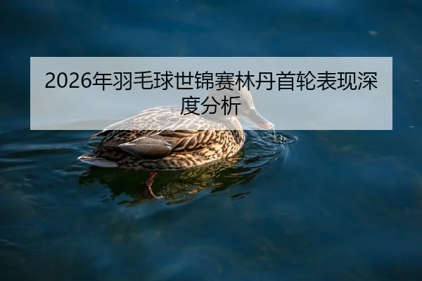 2026年羽毛球世锦赛林丹首轮表现深度分析