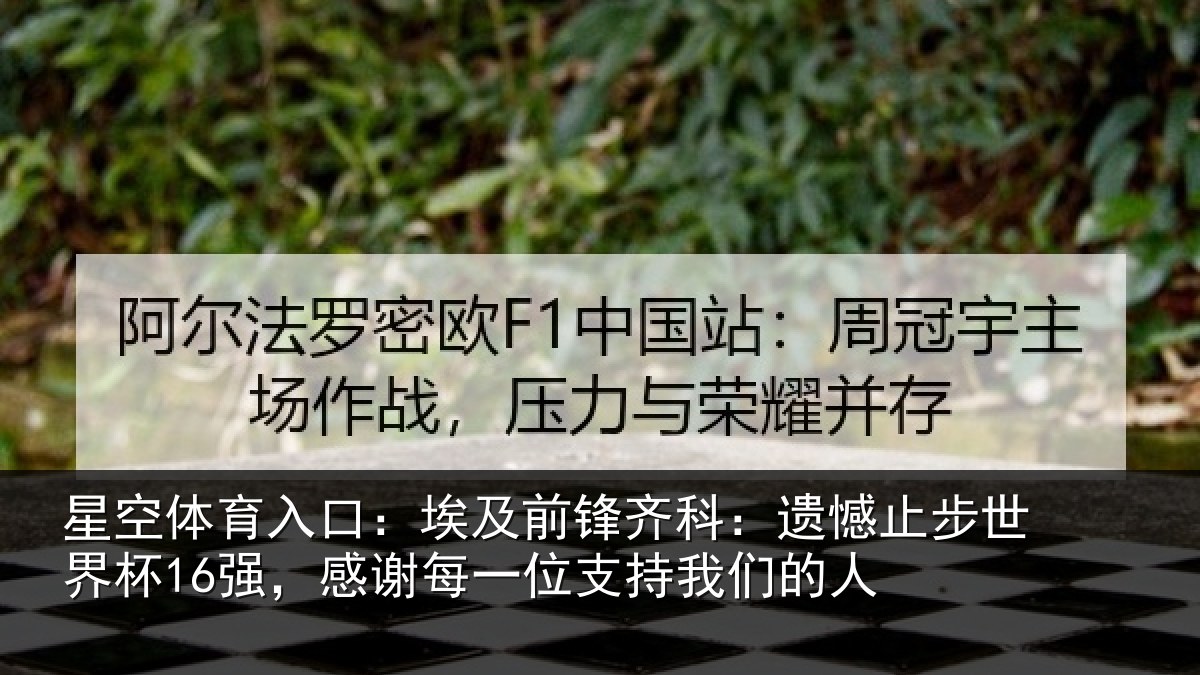 星空体育入口：埃及前锋齐科：遗憾止步世界杯16强，感谢每一位支持我们的人