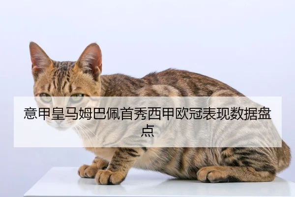 意甲皇马姆巴佩首秀西甲欧冠表现数据盘点