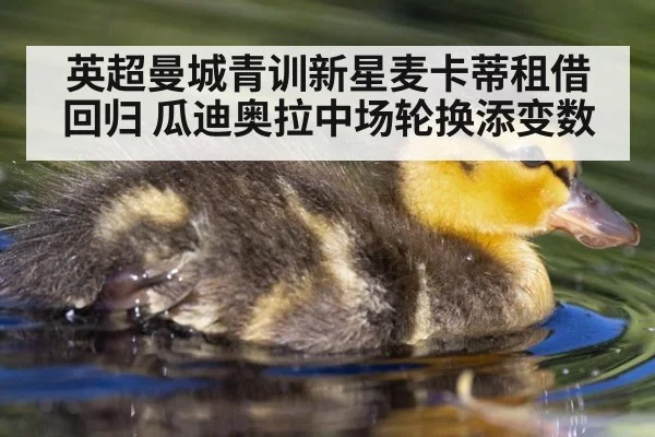 英超曼城青训新星麦卡蒂租借回归 瓜迪奥拉中场轮换添变数